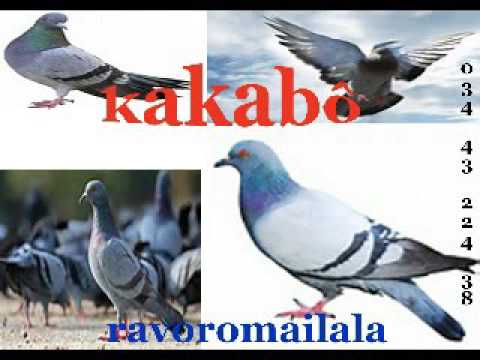 Kakabô - Ravoromailala