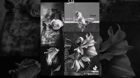 اسمع للقران الكريم وارح قلبك ان الله معك لا يتركك