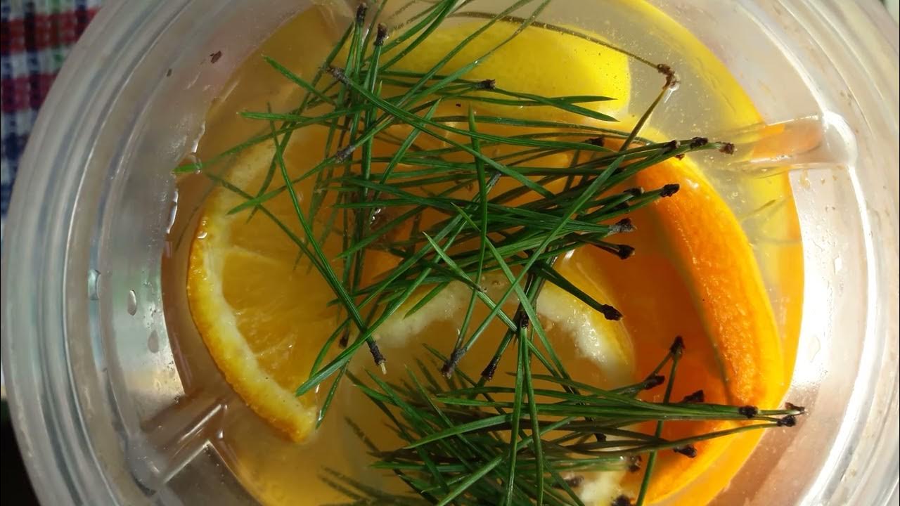 Еловый лимонад Напиток со вкусом ели Мега Витамин С - YouTube