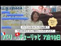 【7泊10日パリ～チューリッヒ荷解き】スマホストラップ要る？要らない？｜超円安でも費用はこれくらいでした