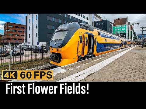 Train Cab Ride NL / Update Noord-Holland / Amsterdam - Den Helder - Utrecht / IC / March 2024