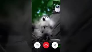 Average bird facetime