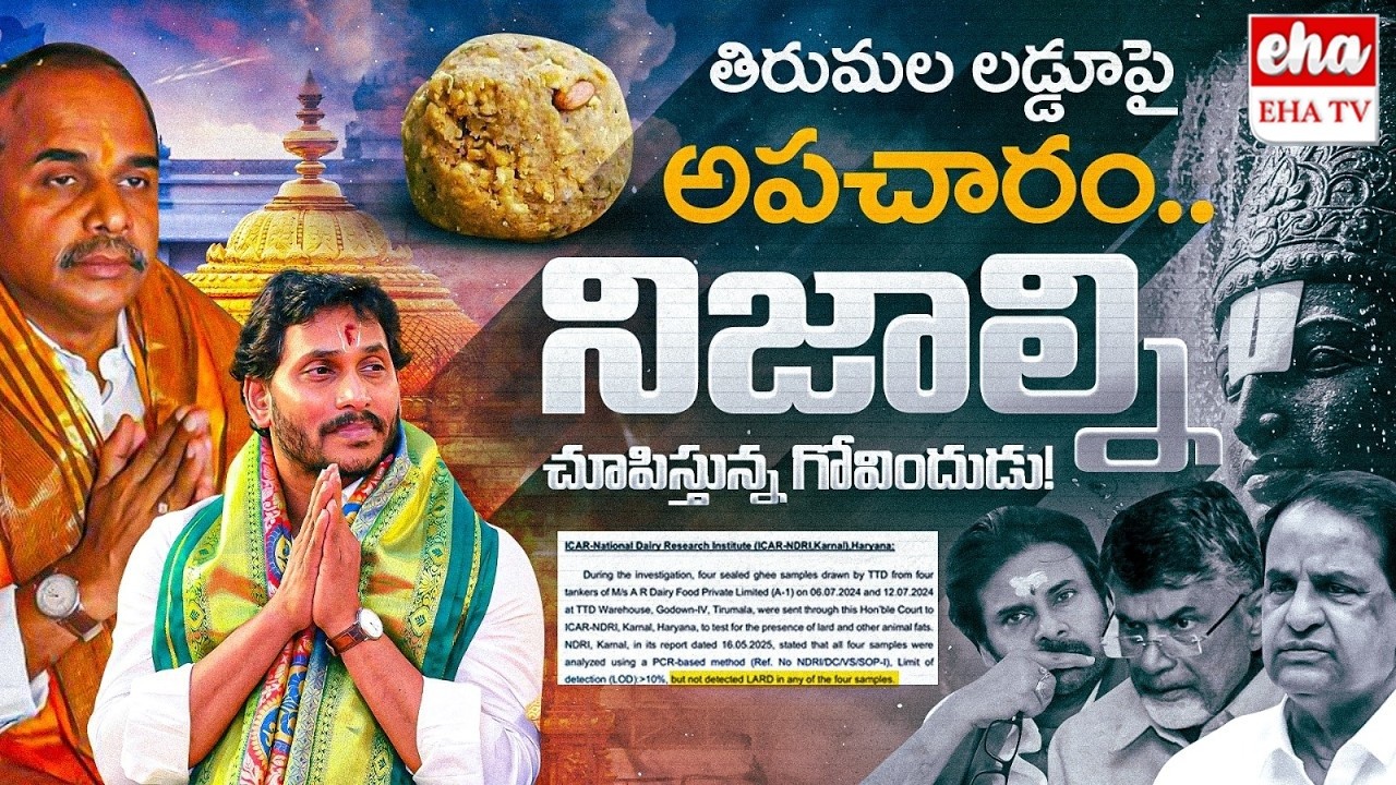 Facts of Tirumala Laddu | Chandrababu Lies on Tirumala Laddu | YS Jagan |  Rajasekhara Reddy| EHA TV