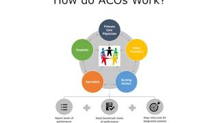 Accountable Care Organizations