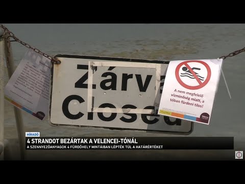 Videó: Ezen A Nyáron Ne üsd Meg A Strandot Egy Palacknyitóval Ellátott Deszkabőr Nélkül