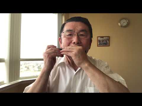 《解放军进行曲》Tremolo Harmonica Solo 口琴独奏