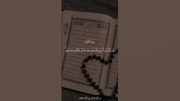 سورة البقرة الآيات 83 - 86 #المصحف #اكسبلور #قران