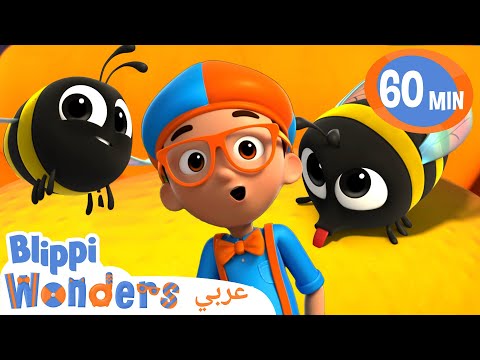 النحلة والعسل نظرة إلى داخل بيت النحل كرتون مغامرات بليبي التعليمية بليبي بالعربي