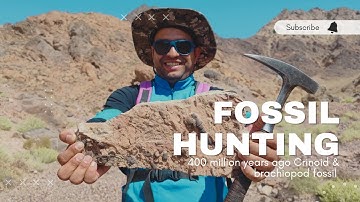 Journey to the Ancient Seas: Exploring Ordovician Fossils /finding brachiopods, Crinoids and bryozoa