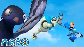 dodge the pigeons arpo the robot funny kids cartoons kids tv full episode compilation