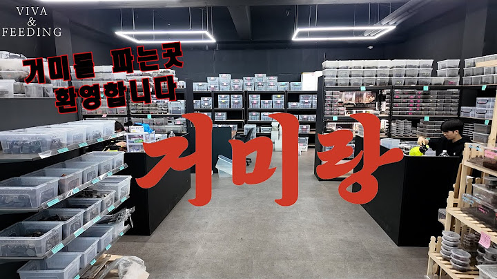 국내 최대규모의 거미와 지네를 판매하는곳! 거미랑을  소개합니다.(거미랑)