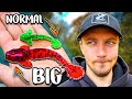 Small vs BIG Lures - What Works Best on Drop Shot?! | Team Galant