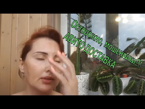 АВИТО доставка / Как действуют мошенники!!!