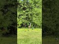 Kabir and Vinton shoes shots in All Sports Golf Battle