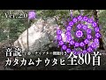 カタカムナウタヒ【全80首】ver. 2.0 紫(男性の声) |カタカムナ神社|全図象・字幕・チャプター機能付き|BGM 作業用 聞き流し 癒し 勉強用 睡眠用