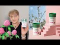 ФИТО ВУМЕН ::: Phyto Women ::: Фито Капсулы для женщин