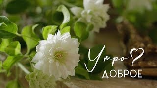 Счастья ! Я желаю счастья!🌝 Будьте счастливы всегда💖 Доброе утро 💚