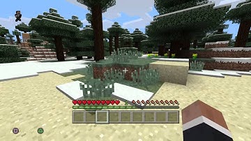 Minecraft PS4 Gameplay Part 2 Survival (No Commentary)