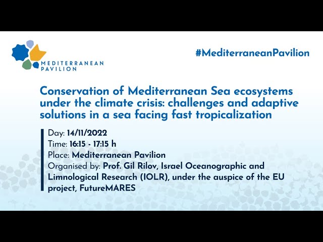 Conserving the Mediterranean Sea