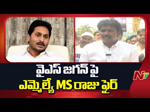 MLA MS Raju  Slams YS Jagan for Planning to Set Fire to Ambedkar Statue | NTV Telugu - NTVTELUGU
