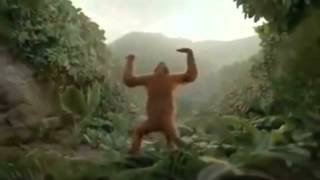 Raving Chimp