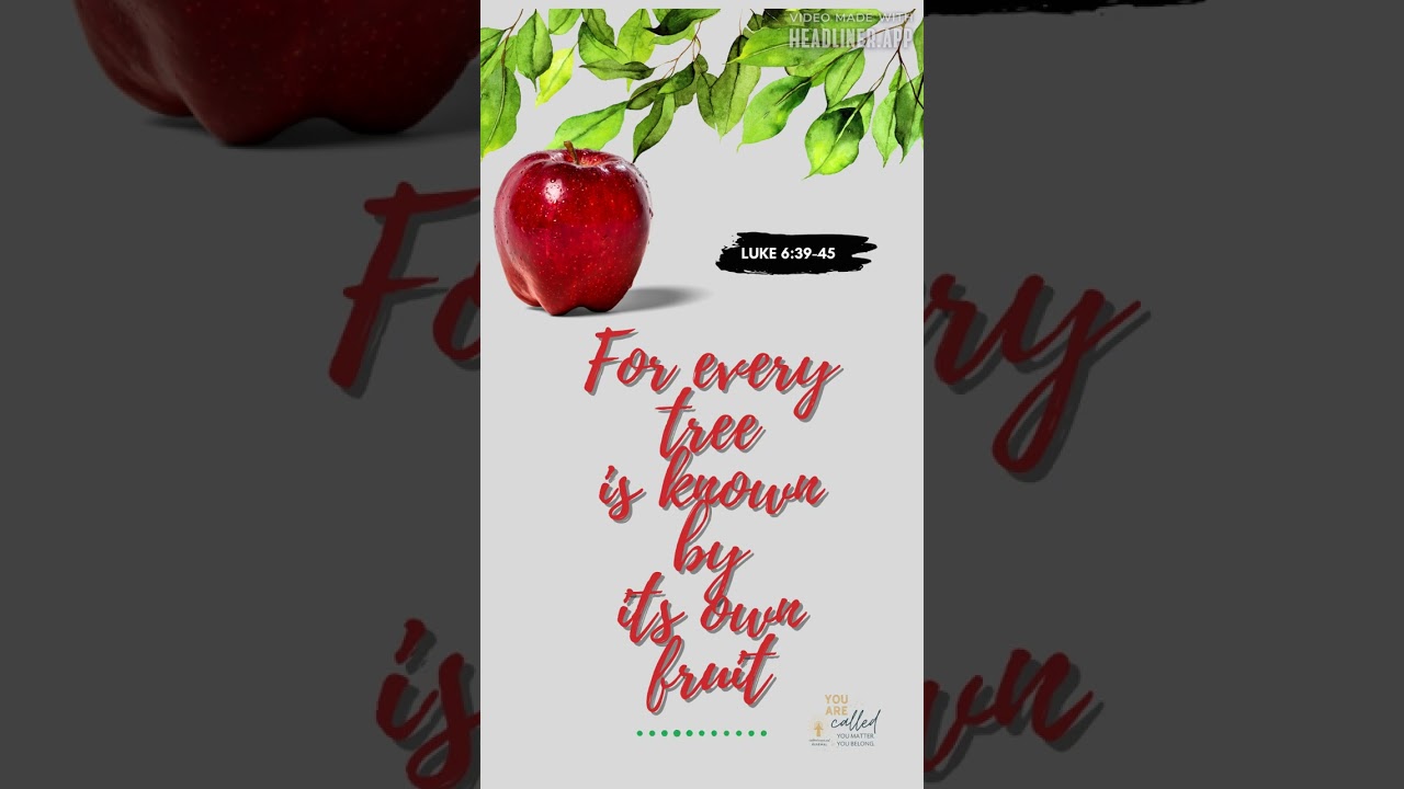 Gospel Reflection on Lk 6:39-45