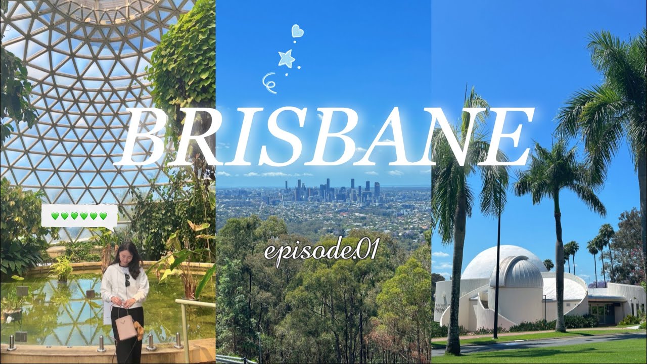 🇦🇺브리즈번 ep.1🐨호주의 10월은 자카란다가 만개해요💜 살고싶은 도시 브리즈번 여행..🏙️🩵