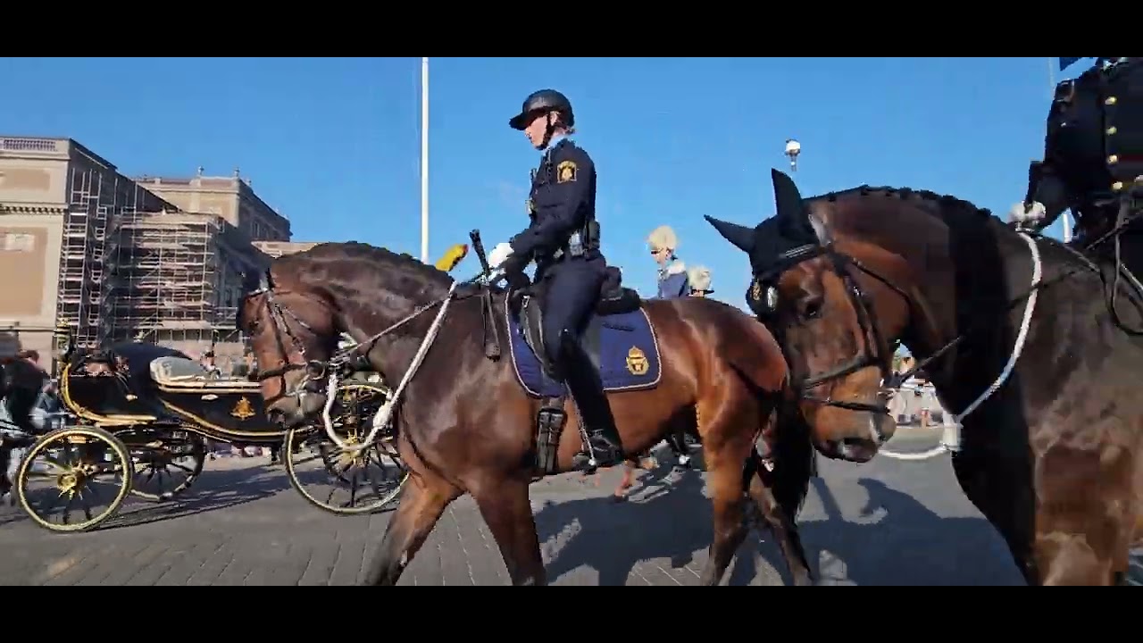 The National Day of Sweden