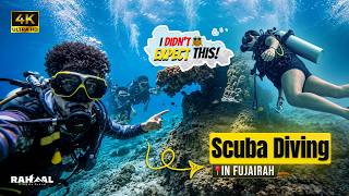 Scuba Diving in Fujairah | Real Reactions, No Script | Best Dive Spot in UAE?
