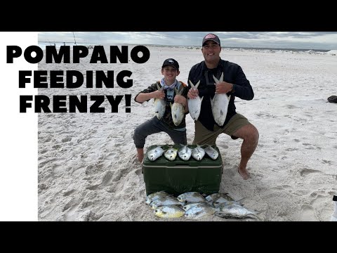 Video: Cara Mengencingi Seseorang Dari Florida Panhandle