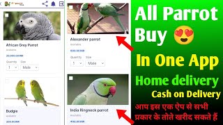 All parrot buy in single app || Buy parrot online app home delivery #parrotapp