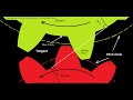 Involute gear tooth profile principle