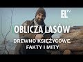 Drewno księżycowe. Fakty i mity | OBLICZA LASÓW #93