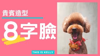 貴賓犬8字臉造型｜凱莉老師 Groomer Kelly｜寵物美容教學｜Poodle Pet Grooming