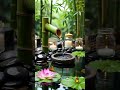 #relax #relaxing #calmmusic #deepsleep #relaxingmusic