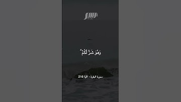 وعسى ان تكرهوا شيئا وهو خير لكم #قران #تلاوات #سورة_البقرة