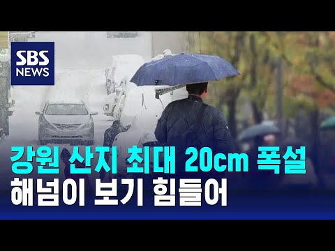   날씨 강원 산지 최대 20cm 폭설 해넘이 보기 힘들어 SBS