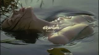 Teya Dora - džanum (tiktok remix) 'moje more'
