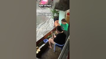 Đủ wow rồi ✅   #videogiaitri #tiktokgiaitri #shorts