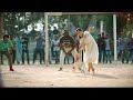 Lilys cricket batting scene  dear comrade  dhool scene ma