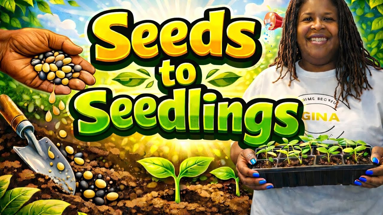How I Turn My Seeds into Strong Seedlings ~ Beginner Friendly 