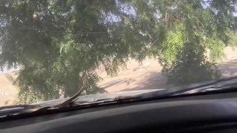 دحيم الحماد تلاوة من سورة قريش حتى سورة المسد ١٤١٤هـ