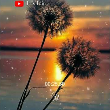 Betapa rindu hatiku ingin dekat dengan kekasihku... #STORY#WA