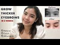 HOW TO THICKEN YOUR EYEBROWS IN 2 WEEKS