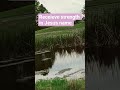 Be strengthen in Jesus name #prayer #fypシ゚viral #manifestation #affirmations #motivationalvideo