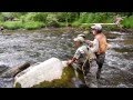 Hazel Creek Trout Fishing - Great Smoky Mountain National Park