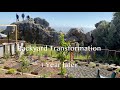 Transforming a Neglected Backyard: Hillside Makeover