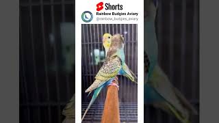 Subscribe For More Videos