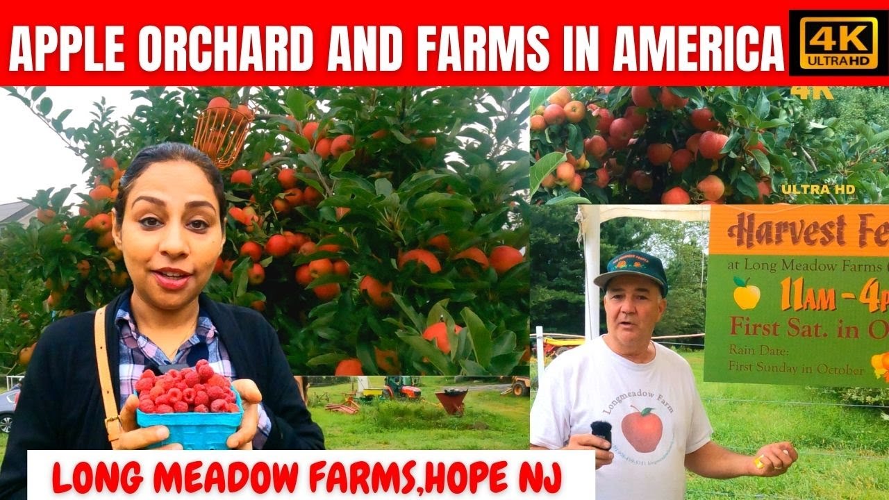 Apple Orchards And Farms in America | Long Meadow Farm -Hope NJ | IndianYouTuber| Travelstuck | 4K |