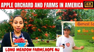 Apple Orchards And Farms in America | Long Meadow Farm -Hope NJ | IndianYouTuber| Travelstuck | 4K |